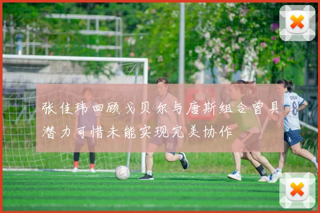 张佳玮回顾戈贝尔与唐斯组合曾具潜力可惜未能实现完美协作